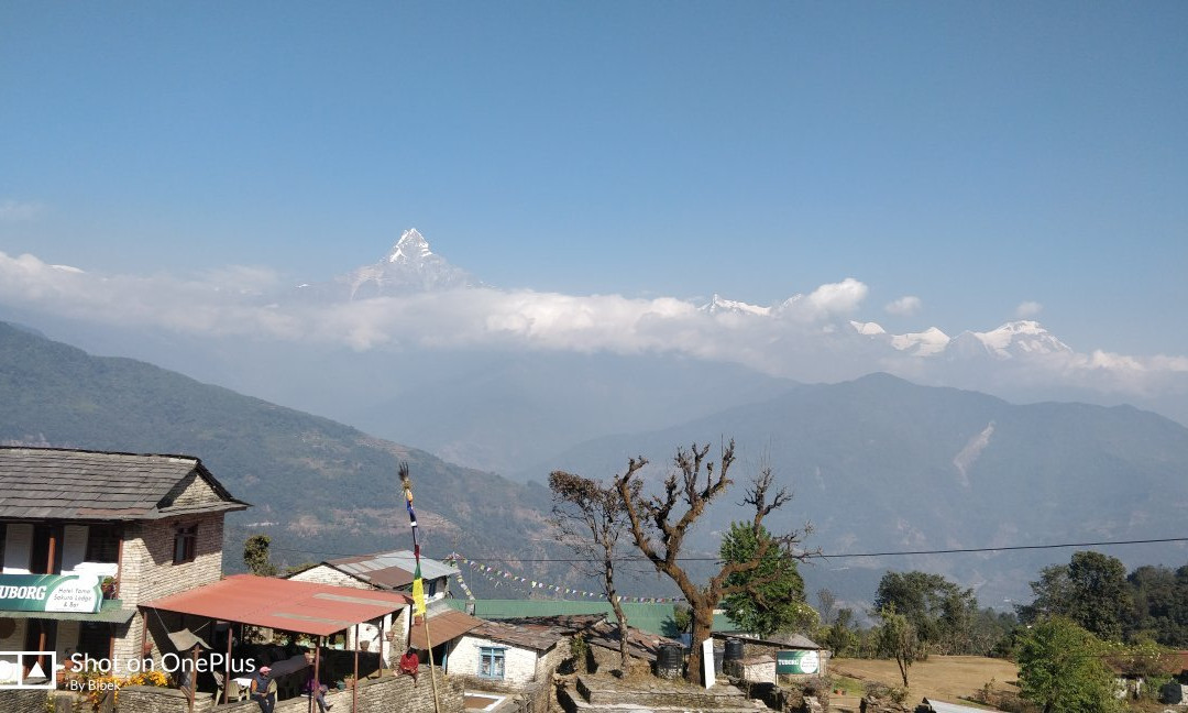 Dhampus Holiday Home Guest House & Restaurant主图