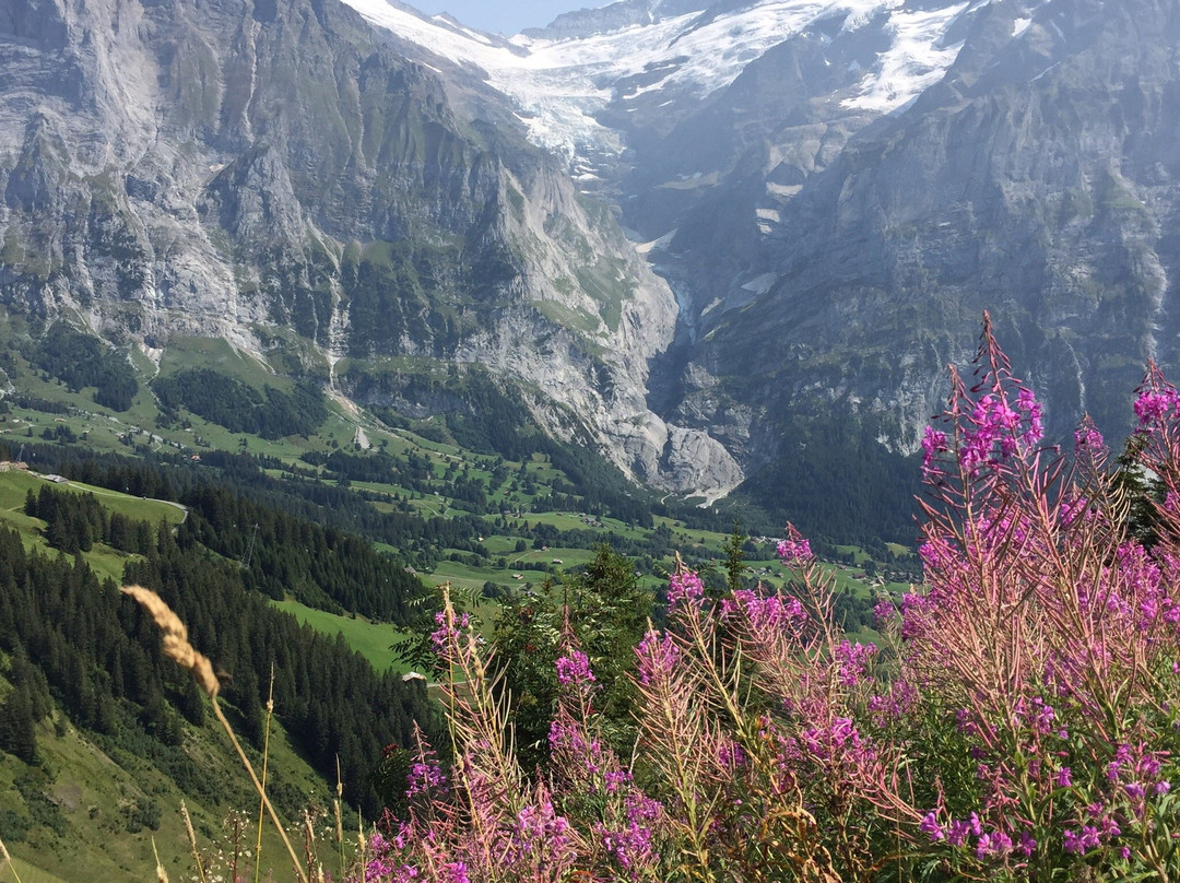 Wanderung Bussalp - Bort-格林德瓦必去景点