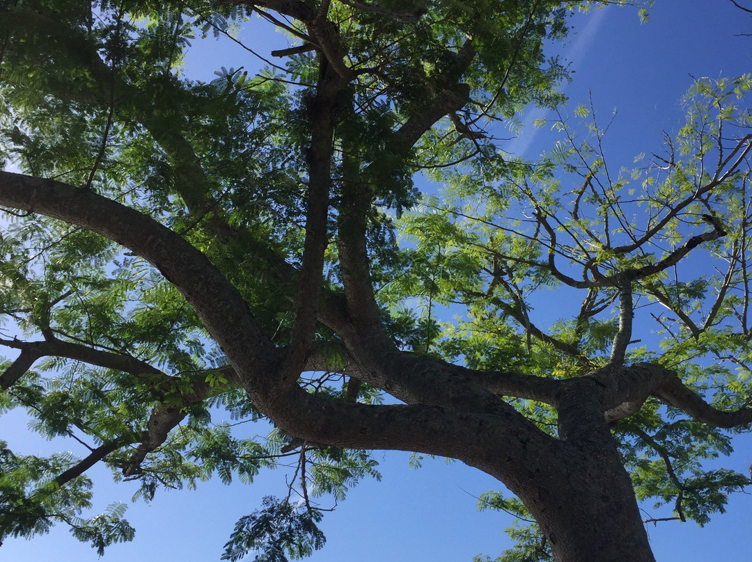 Secret Lake Park-卡塞尔伯里必去景点