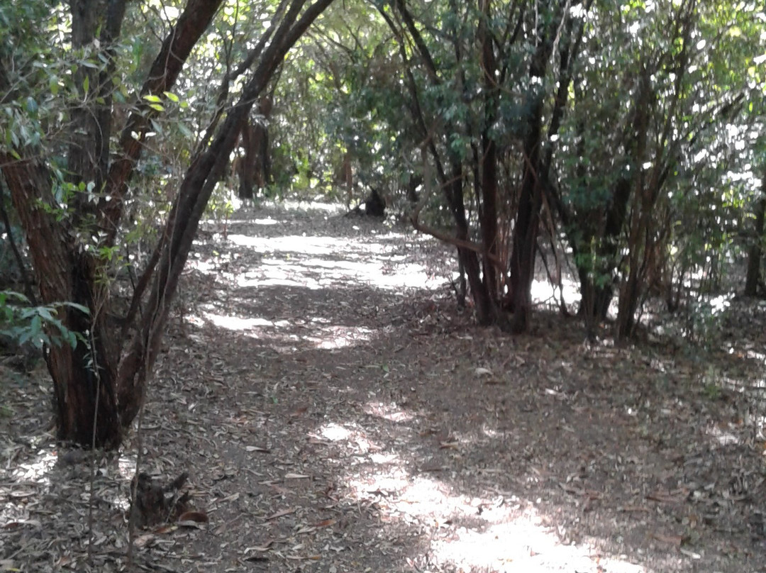 Parque Nacional Francisco Alberto Caamano Deno-Azua Province必去景点