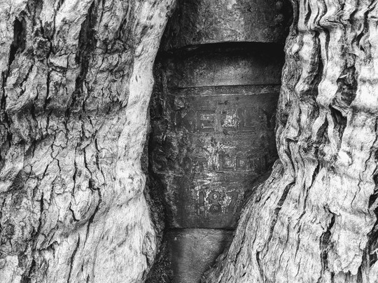 Stringybark Creek Historic Reserve-Archerton必去景点