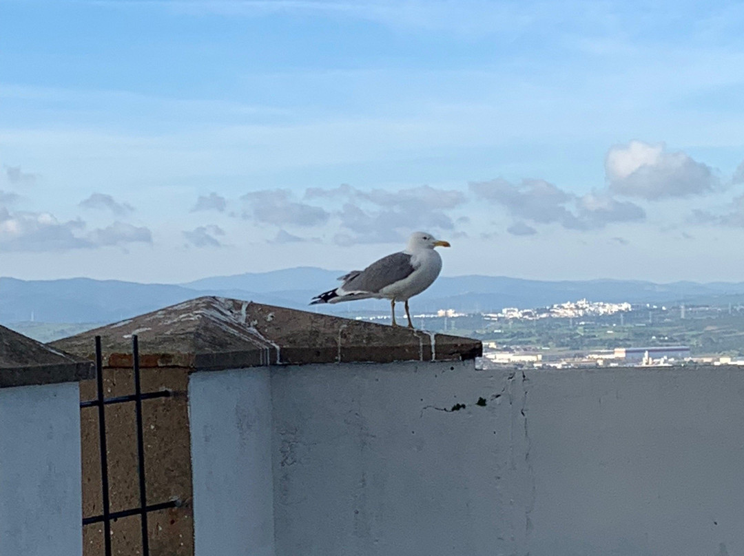 Queen Charlotte's Battery-Gibraltar Town必去景点