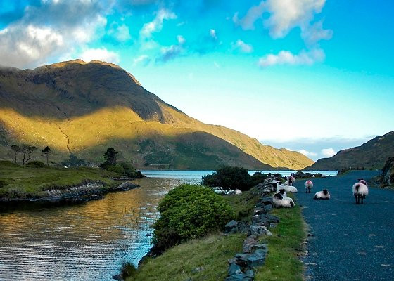 Connemara Adventure Tours景点图片