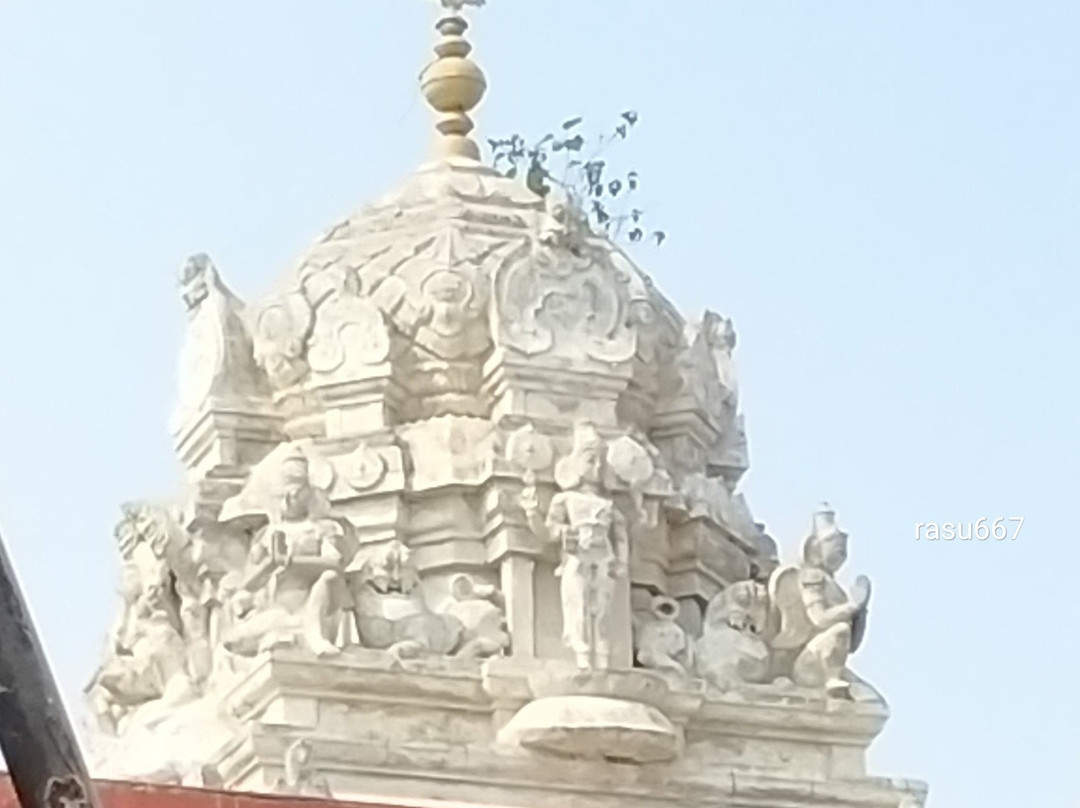 Sri Venkateswara Temple景点图片