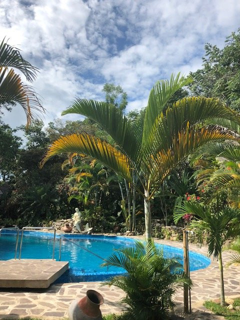 Hospedaje La Sangapilla主图