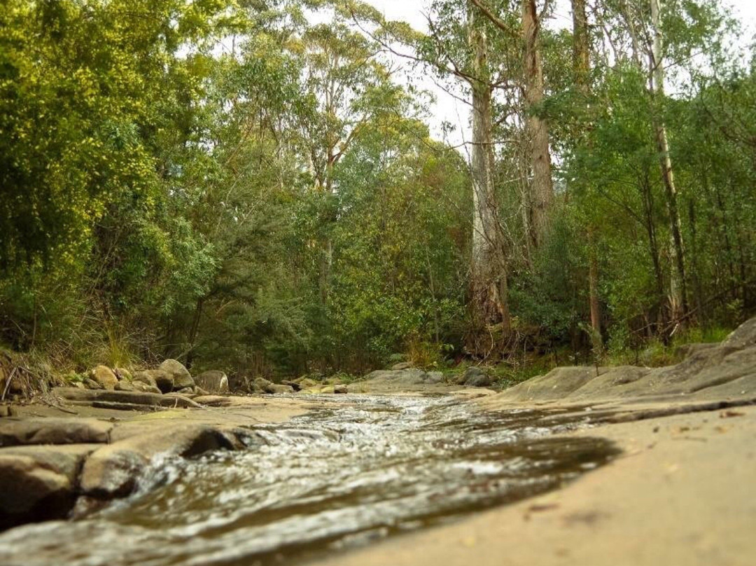 New Town Rivulet Park景点图片