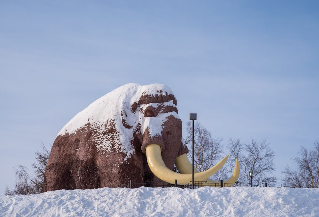 Mammoth Monument景点图片