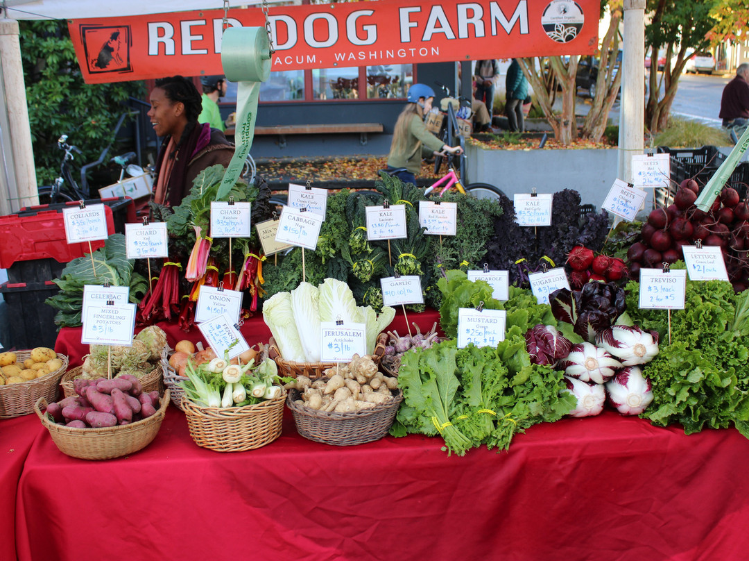 Port Townsend Farmers Market景点图片