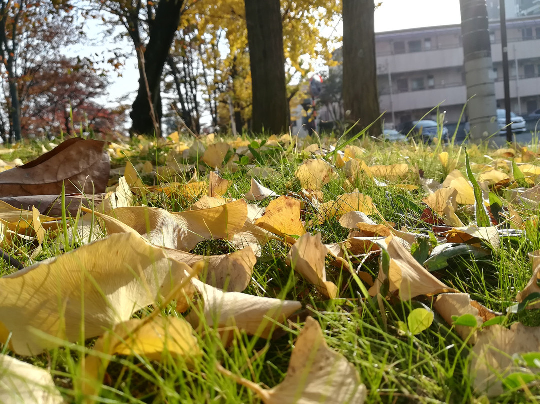Higashiayase Park-足立区必去景点