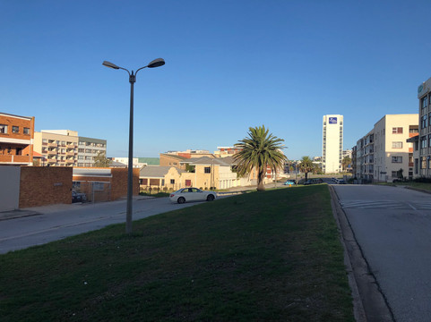 针叶树海滩楼酒店主图