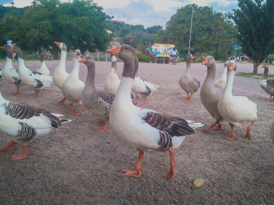 Centro de Lazer do Trabalhador-Valinhos必去景点