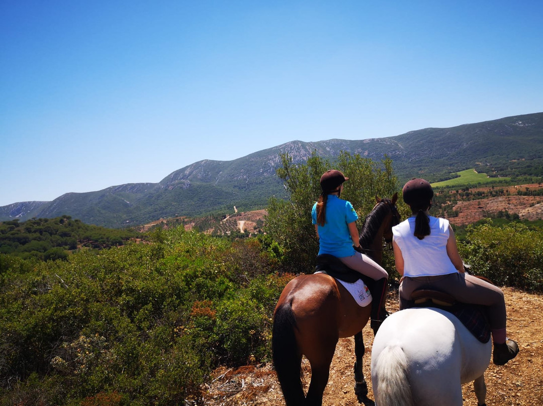 Horse Riding Center Picadeiro d'Arrábida-Vila Nogueira de Azeitao必去景点