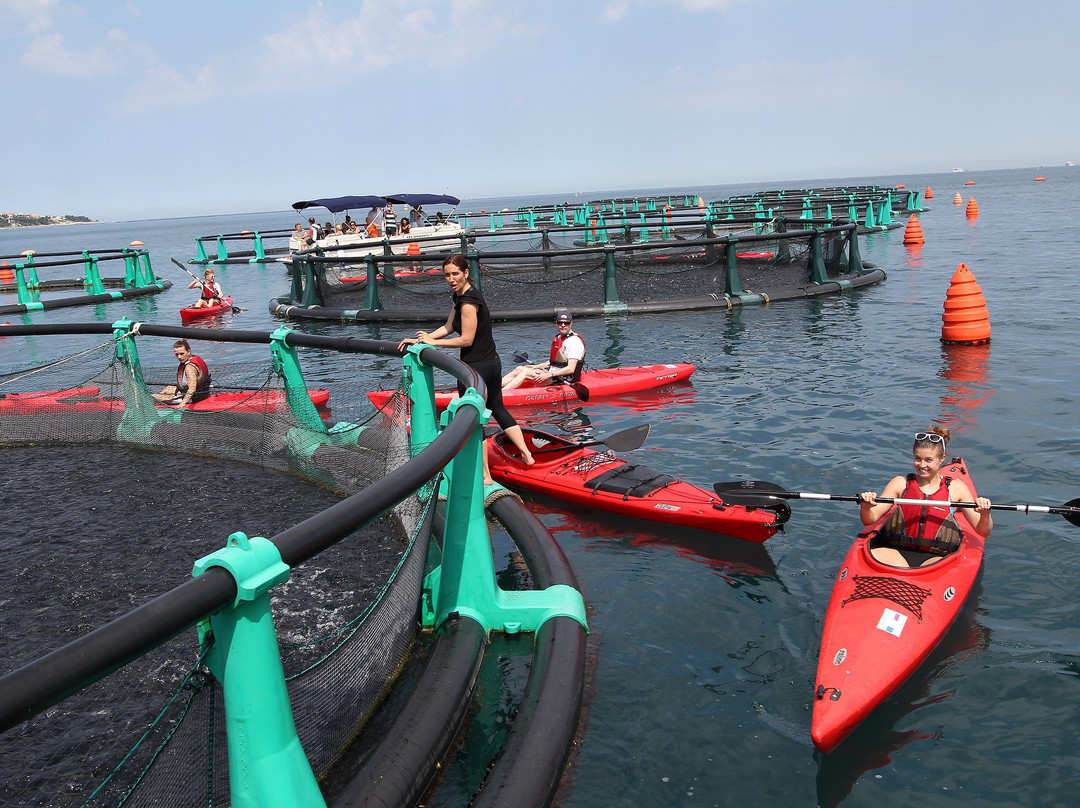 Fonda Fish Farm-波多若斯必去景点