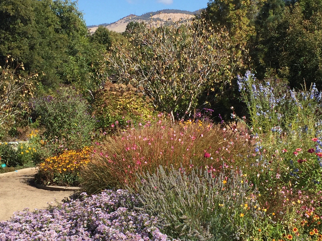 North Mountain Park-阿什兰必去景点