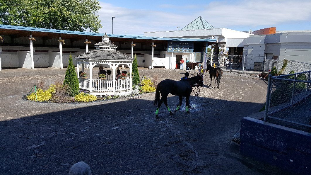 Finger Lakes Gaming & Racetrack-Farmington必去景点