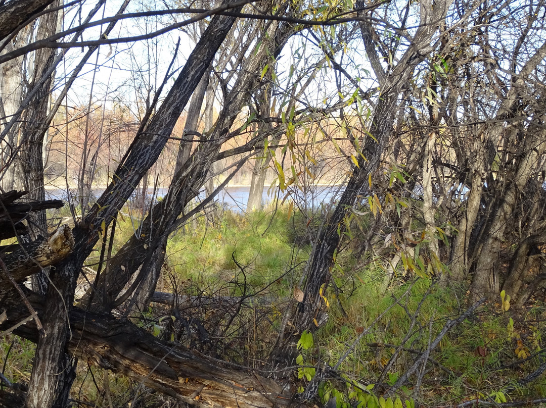 额尔古纳国家湿地公园-额尔古纳市必去景点