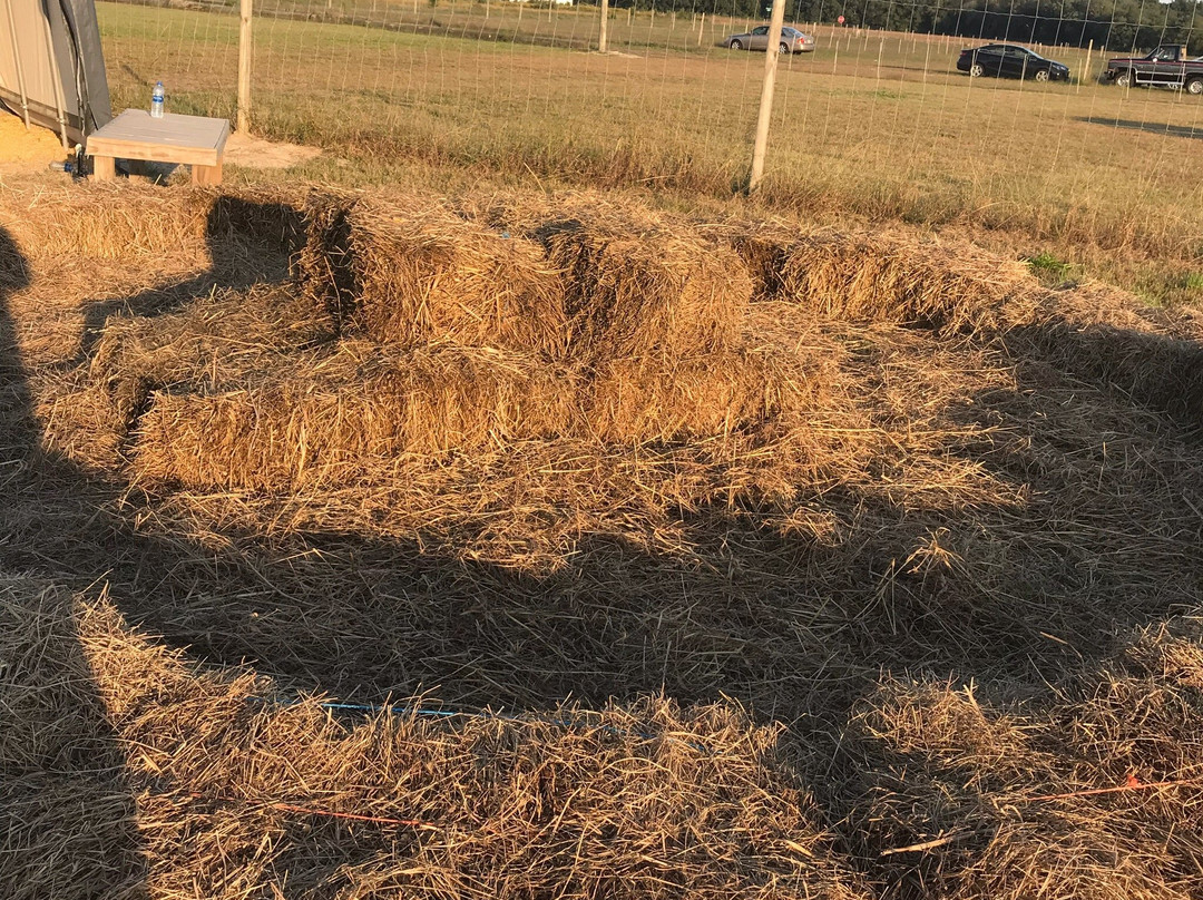 Sahl's Father Son Farm景点图片