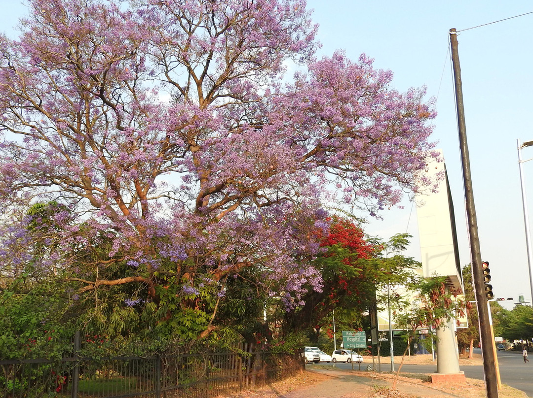 Cathedral of The Holy Cross Lusaka-卢萨卡必去景点