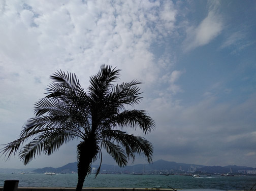上环街市-香港必去景点