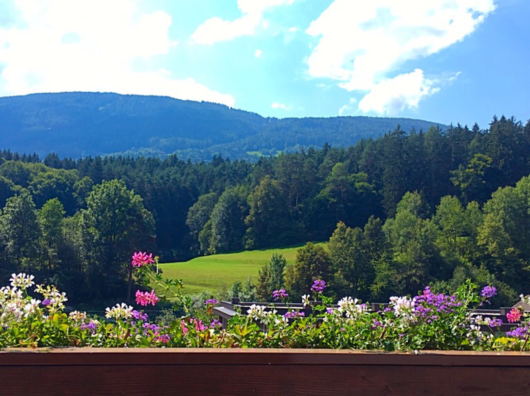 Residence Brunelle