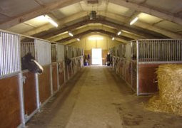Swinhoe Farm Riding Centre-Belford必去景点
