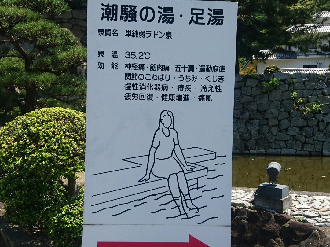 Sumoto Onsen Shiosai no Yu Ashiyu-洲本市必去景点