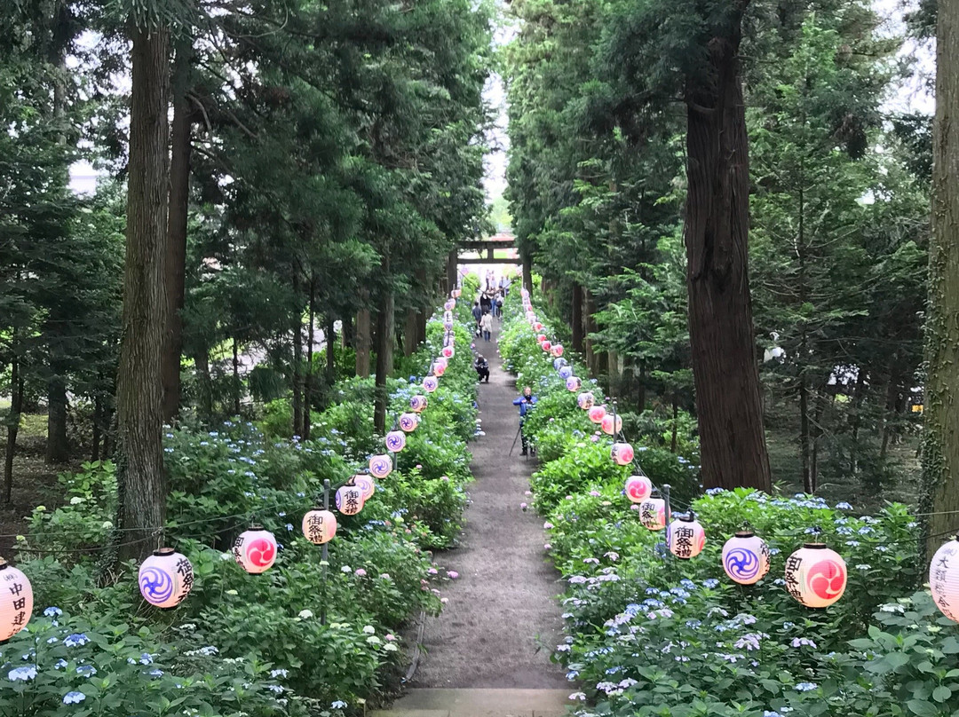 Isoyama Shrine景点图片