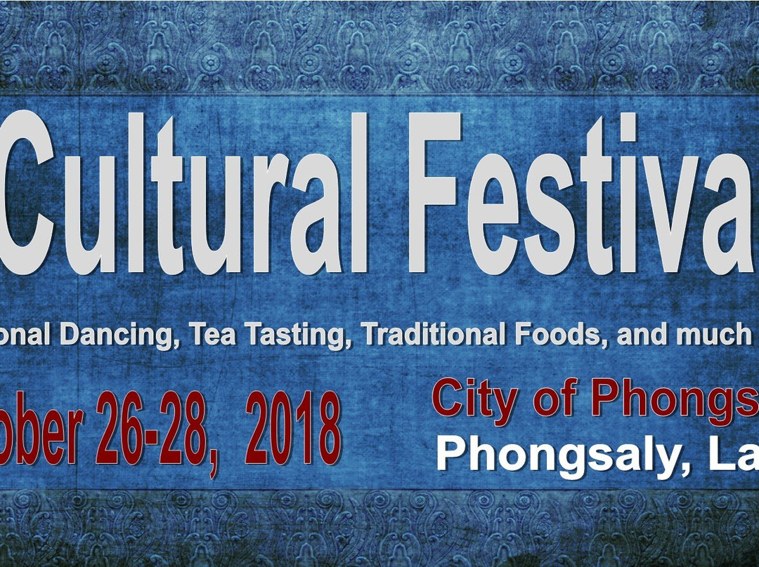 Viphaphone Hotel主图