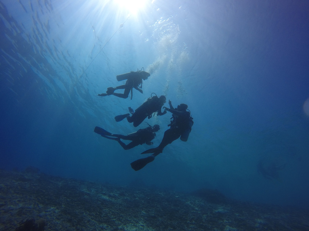 Sipadan Mabul Lodge and Tours景点图片