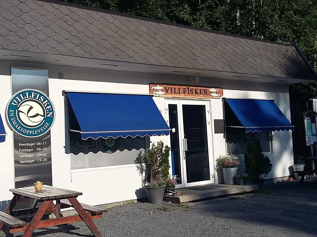 Sokna旅游景点-Villfisken