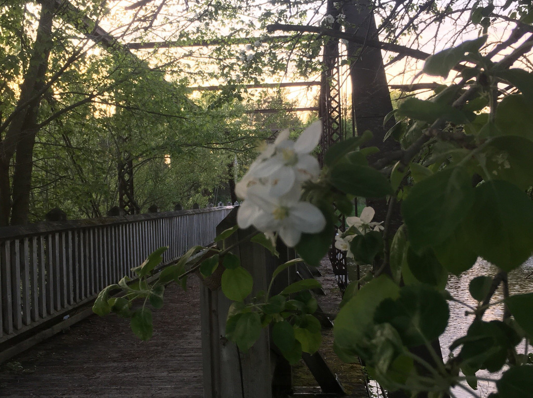 The Colonel's Rest Bed & Breakfast主图