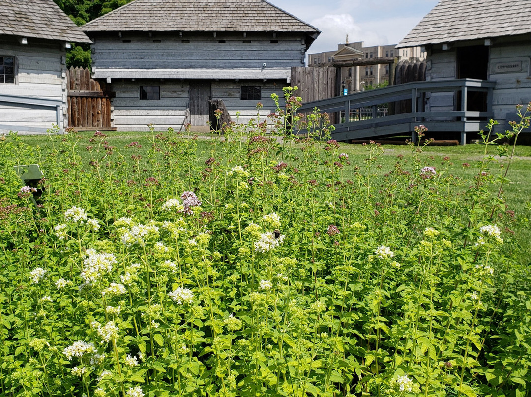 The Fort Steuben Visitor Center and Museum Shop景点图片