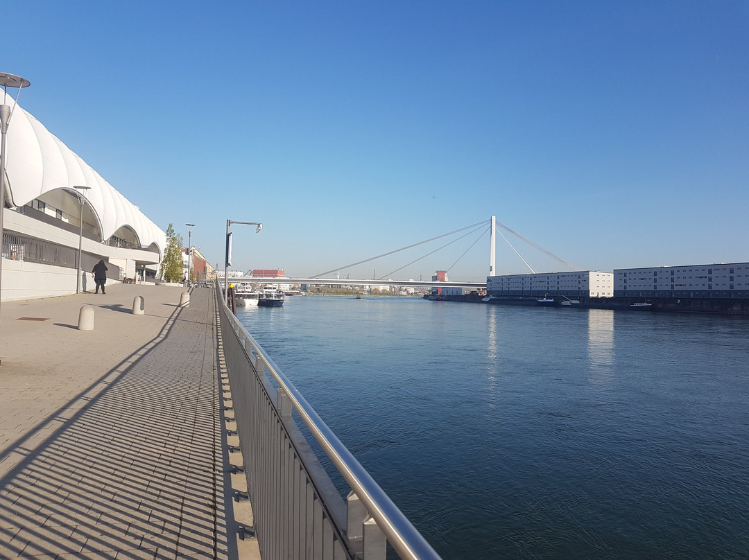 Rhein-Galerie景点图片