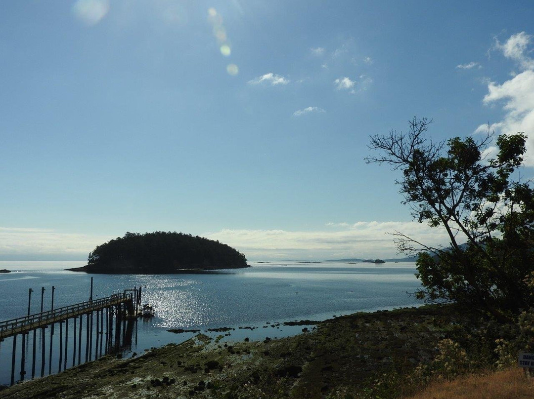 Mayne Island Resort主图