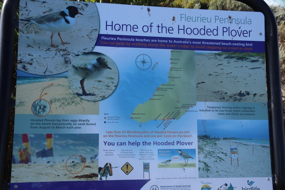 Parsons Beach-维克多港必去景点