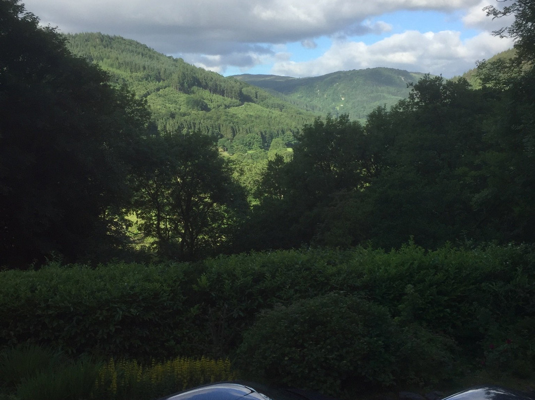 Pengwern Country House主图