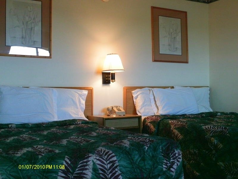 Americas Value Inn主图