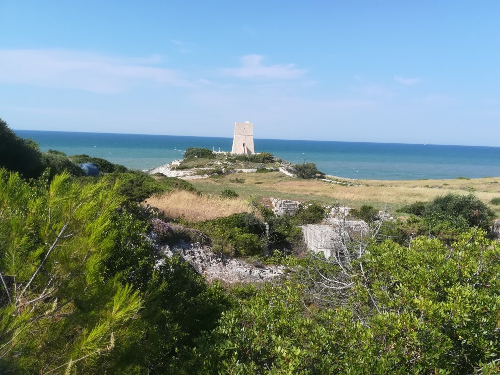 Torre di Porticello景点图片