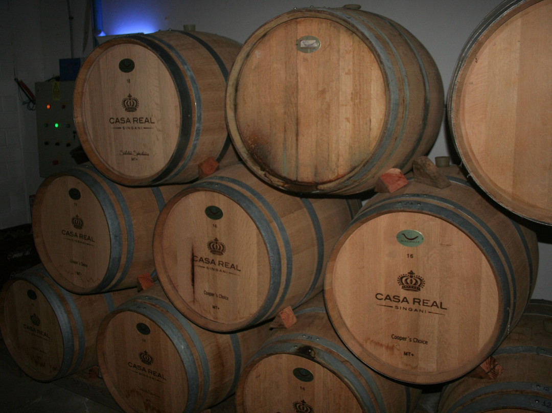 Bodega Campos de Solana-塔里哈必去景点