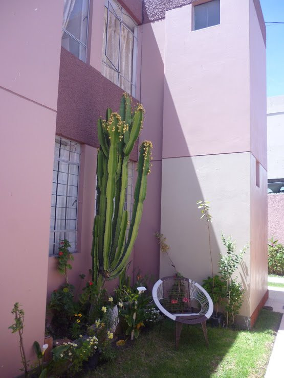 Chez Julie La Casa De Julie主图