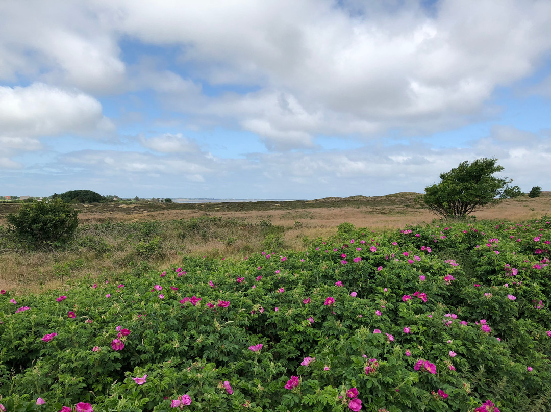 North Friesian Islands旅游攻略图片