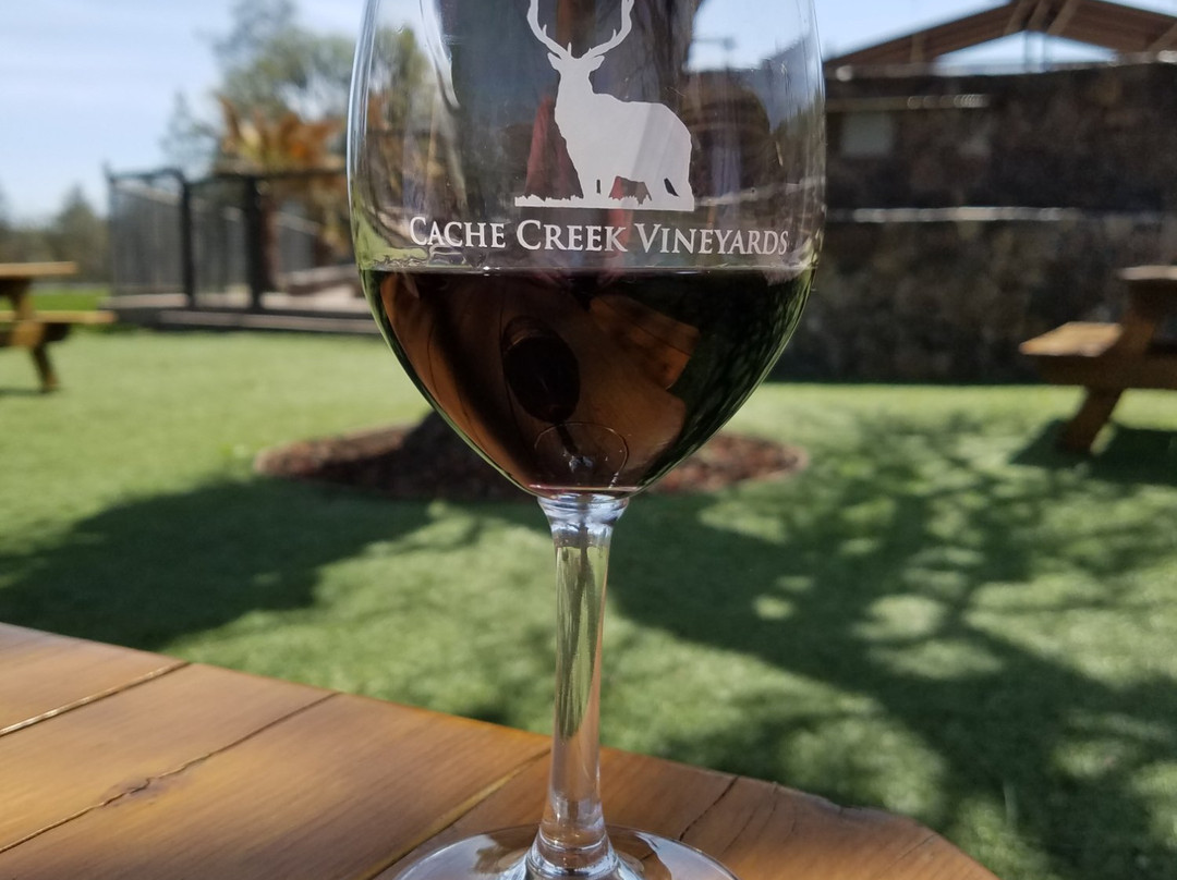 Cache Creek Vineyards & Winery景点图片