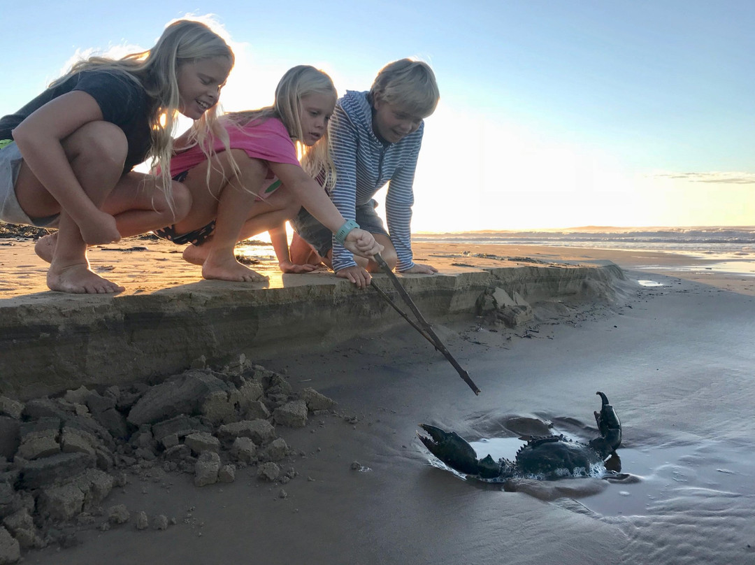 The Haven Hotel主图