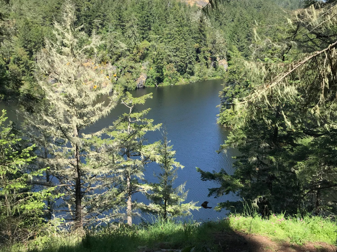 Matheson Lake Regional Park景点图片