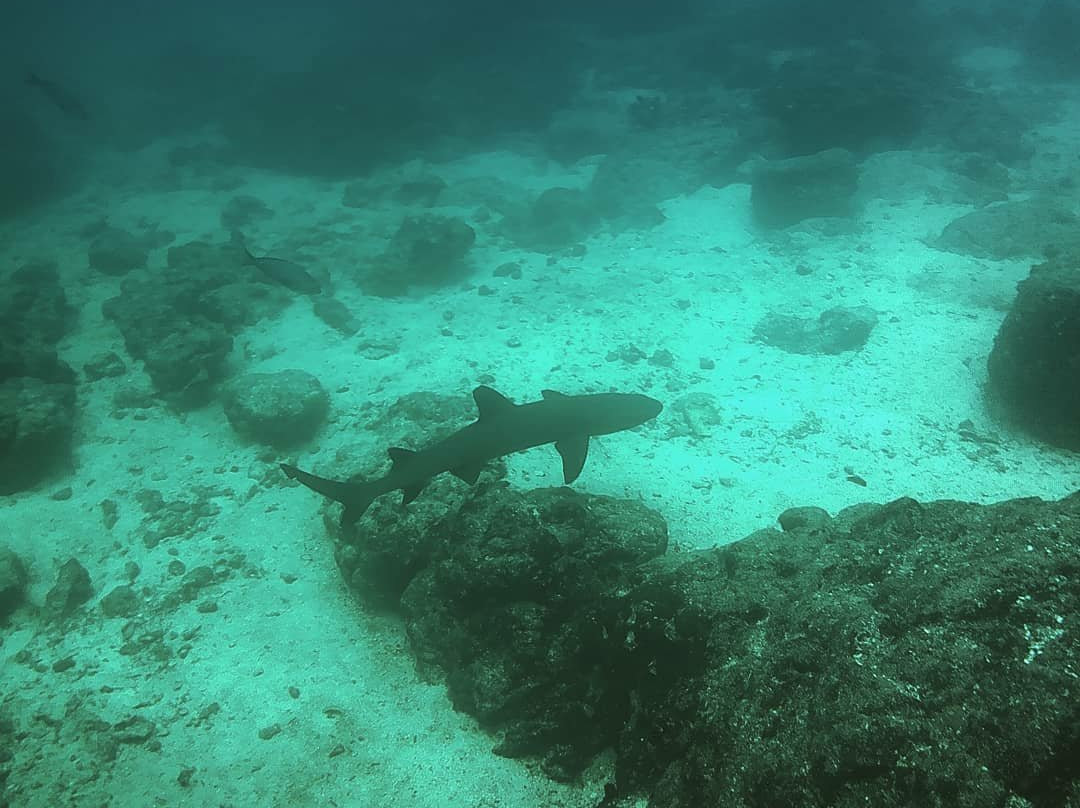 Nautidiving-阿约拉港必去景点