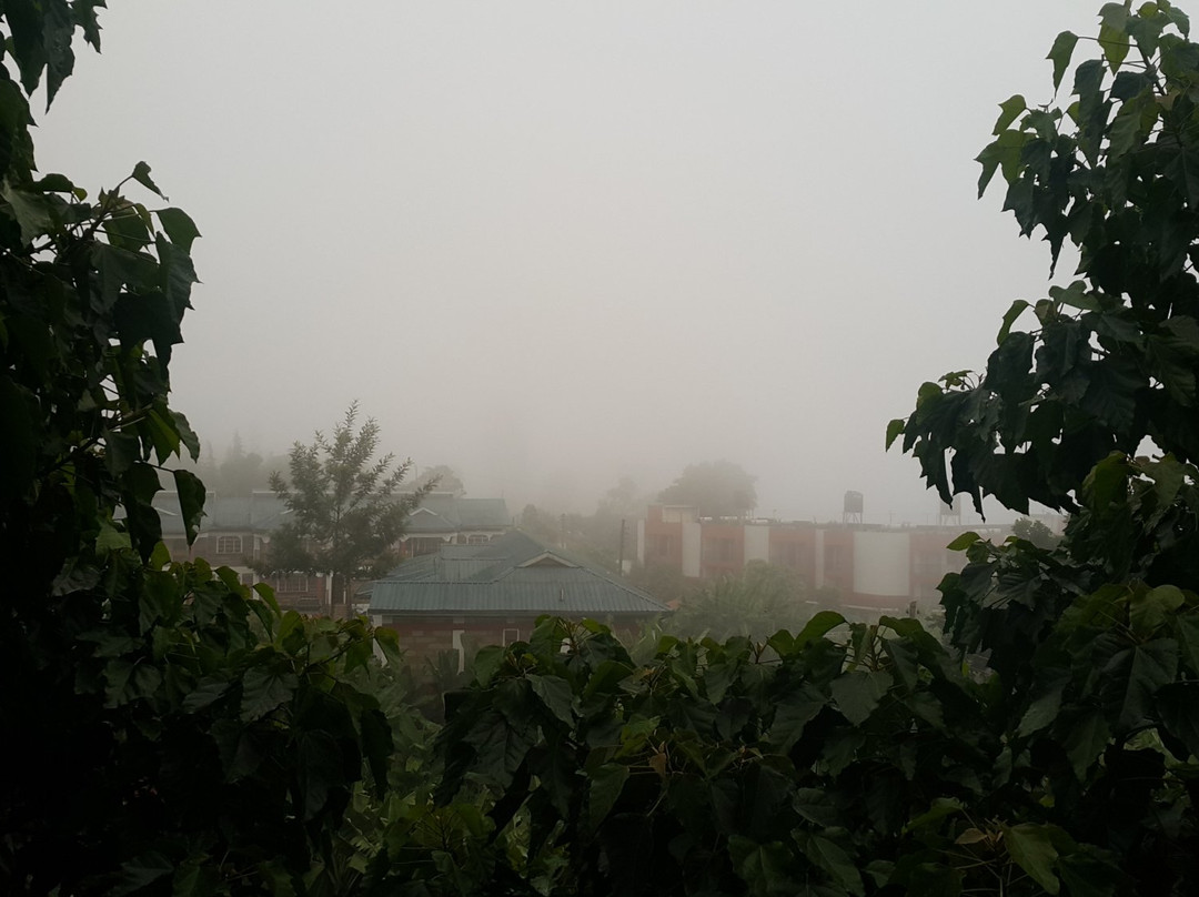 Alba Hotel Meru主图