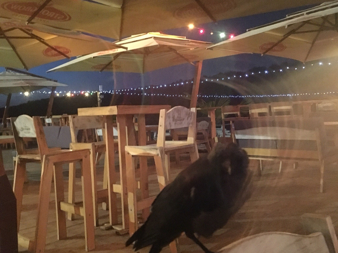 Tiki Village-雅西必去景点