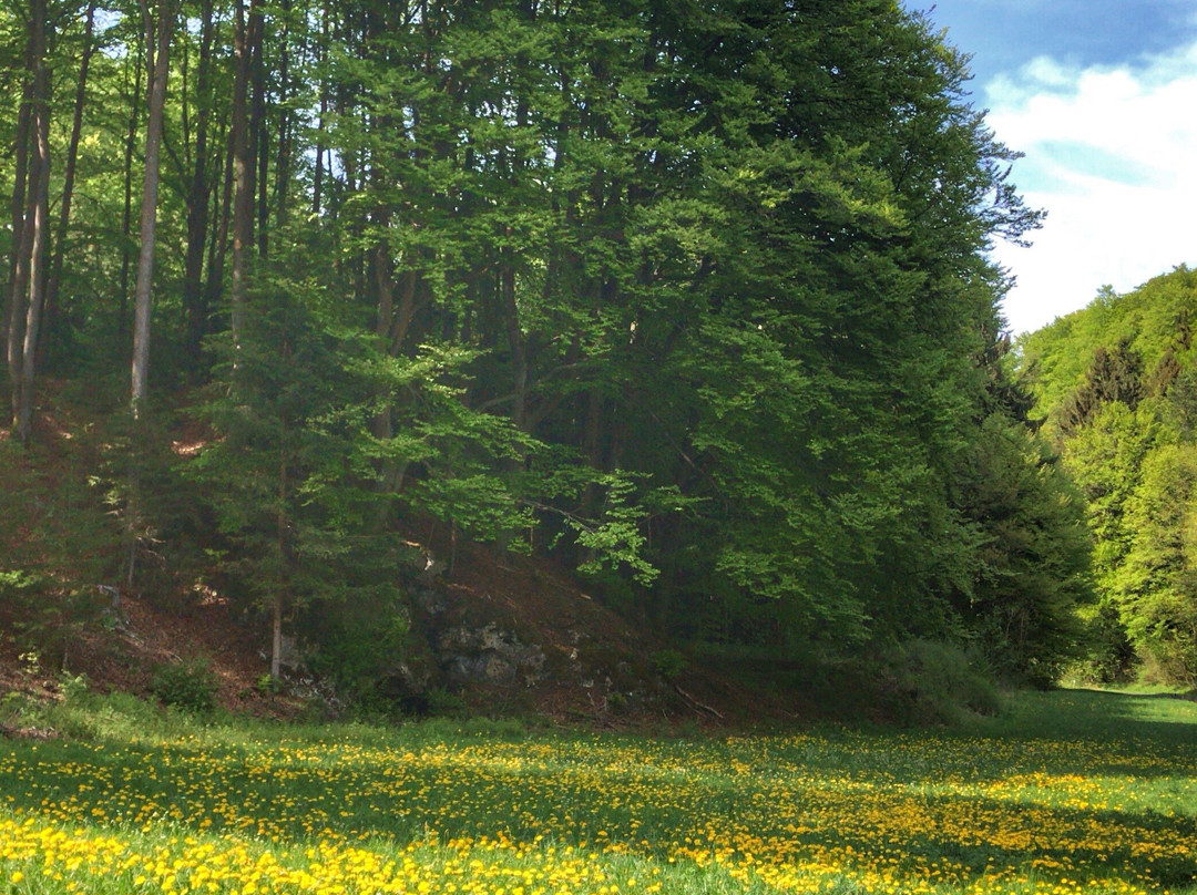 Neukirchen bei Sulzbach-Rosenberg旅游攻略图片