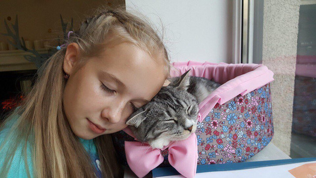 Kotomaniya-加里宁格勒必去景点