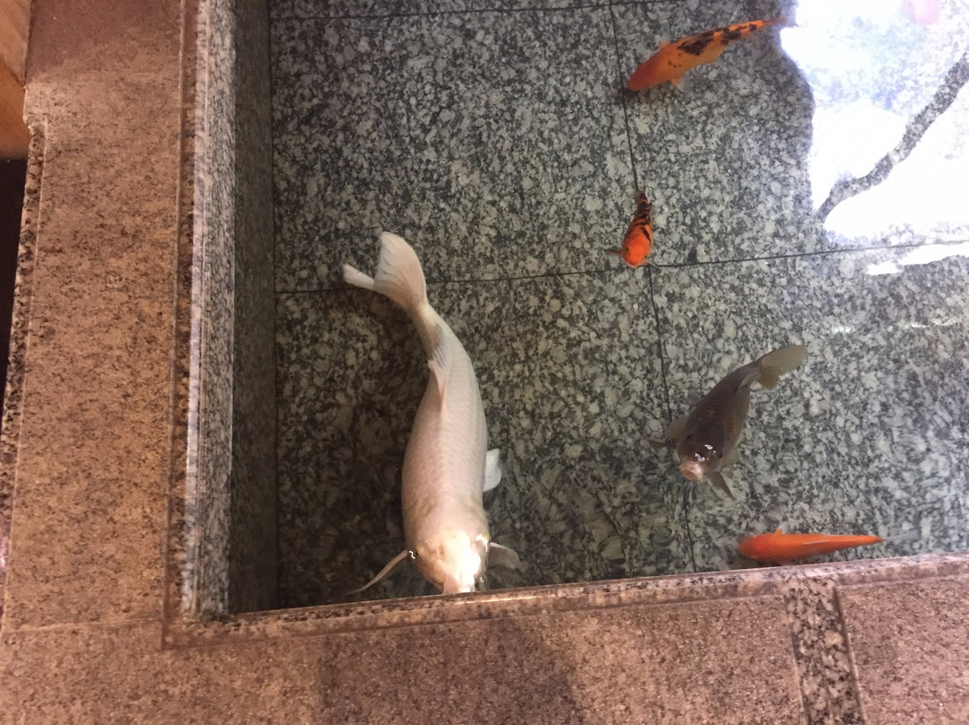 月光园游月山庄主图